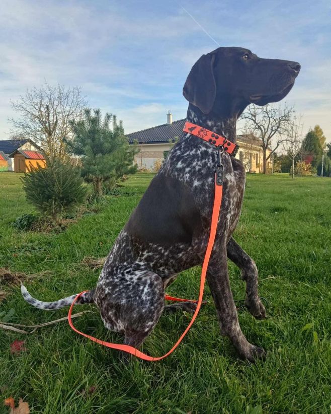 Užíváte Halloween?🎃👻 Mrkněte, jak to sluší naší výherkyni soutěže o strašidelný hallowenský set🦇🎃 Moc děkujeme za kráné...